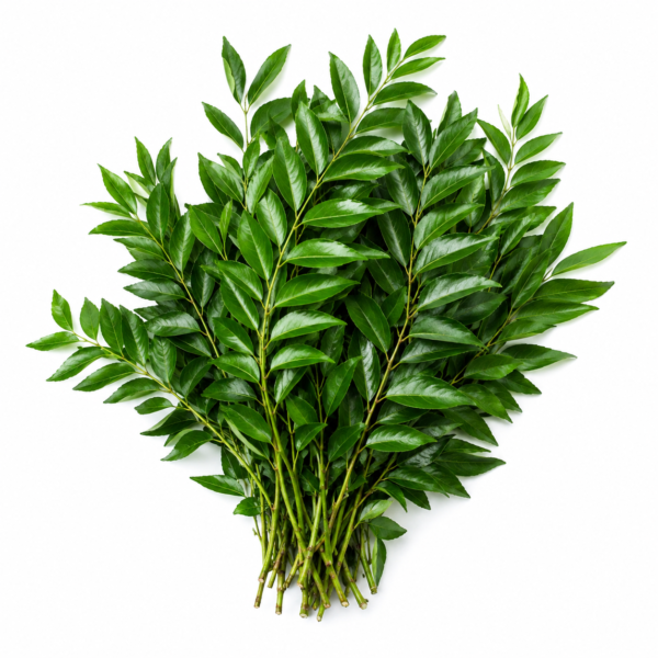 Curry Leaves