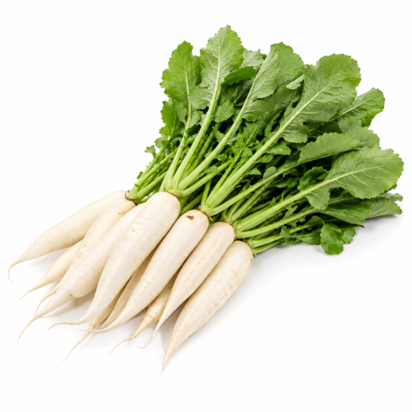 Radish (Mooli)